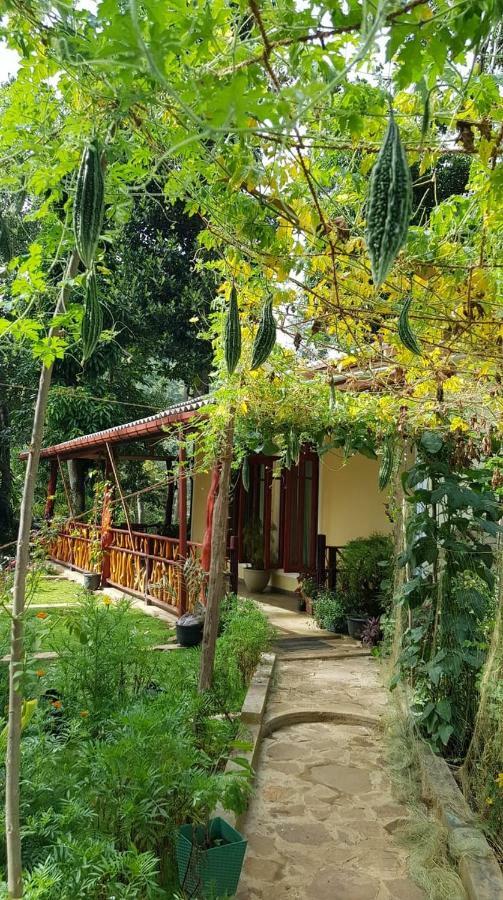 Happy Horizon Home Stay Елла Екстер'єр фото